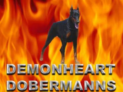 Demonheart Dobermanns